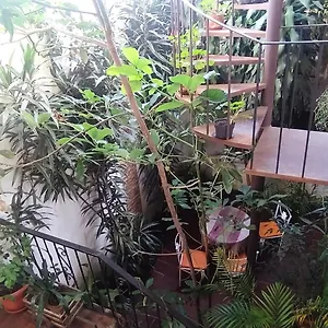 Jungle Chill , Antigua Guatemala